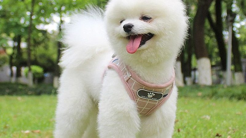 冷水机组厂家代理加盟，如何把握行业脉搏？**